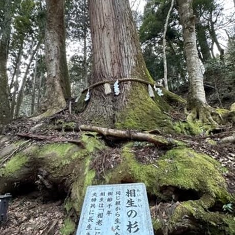 悪縁を切り良縁を結ぶ 貴船神社画像 ダウンロード販売