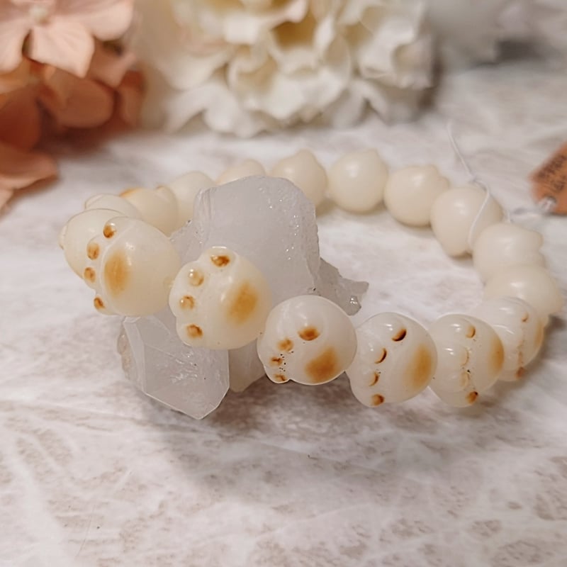 🐈天然菩提根 猫の手12mm 内径16cm | pundarika