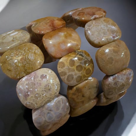 CATEGORY 珊瑚 | pundarika