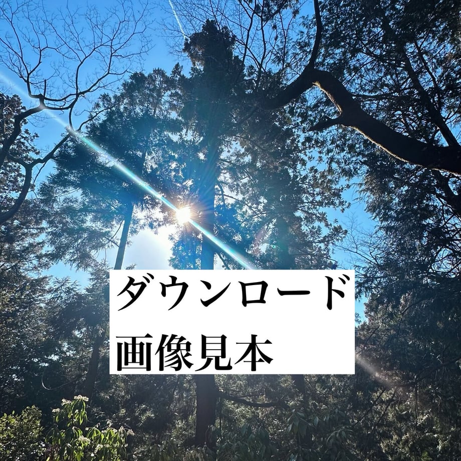 641402b1e14cf8003c923deb