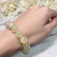 【自信・明確・ポジティブ】ゴールデンダンビュライト　11.5mm C