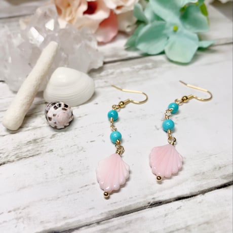 CATEGORY シェル | pundarika