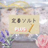 定番ソルト3種 プラス1点プレゼント企画