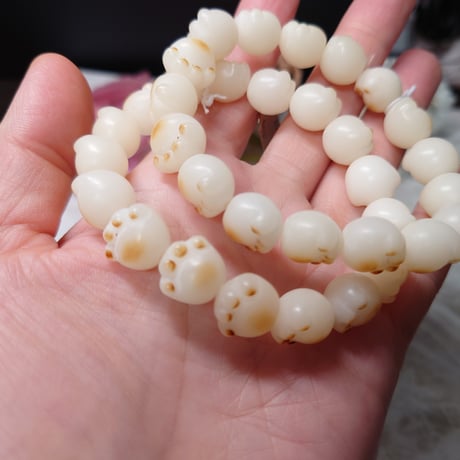 🐈天然菩提根　猫の手12mm 内径16cm