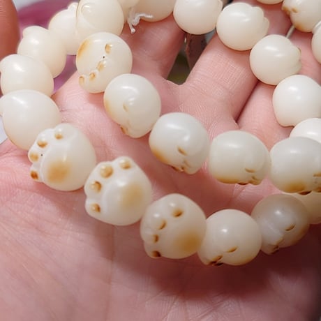 🐈天然菩提根　猫の手12mm 内径16cm