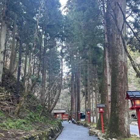 悪縁を切り良縁を結ぶ 貴船神社画像 ダウンロード販売