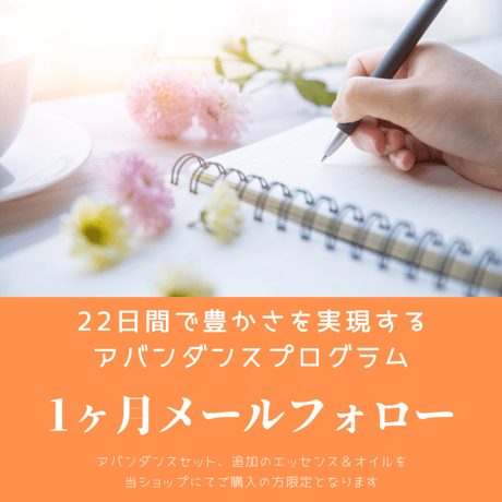 アバンダンスプログラム1ヶ月メールフォロー