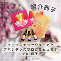 アバンダンスプログラムって？小冊子PDF