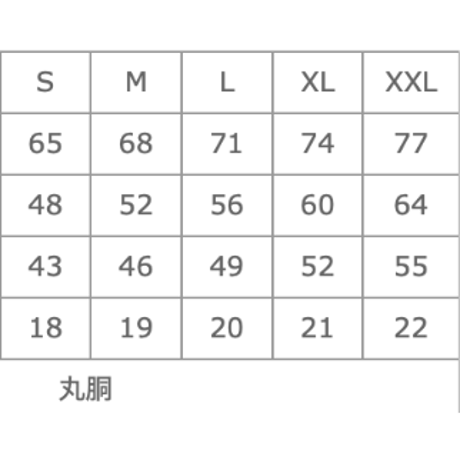 コトダマTシャツデラックス（片野貴夫氏筆）（色：シルキーグレー）古代日本の癒し普及協会