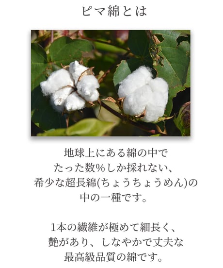 《生地》 ピマ綿ダウンプルーフ(オフ白)　●F-0239