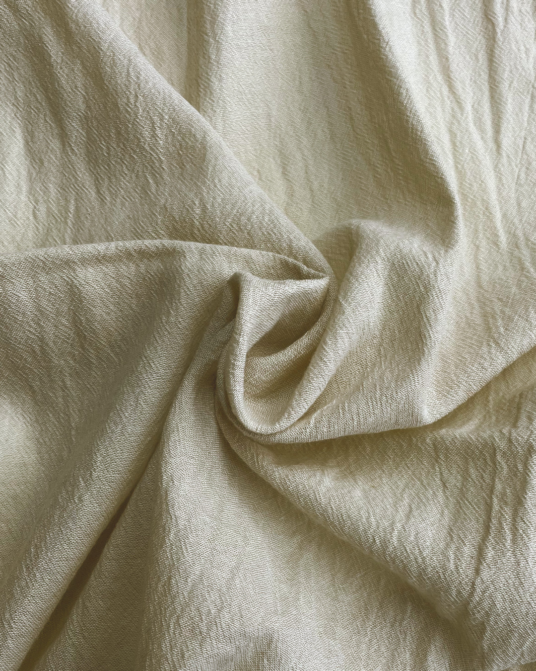 がじゅまる ガジュマル 7号 黒セラアート鉢 | 京橋植物園