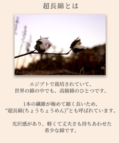 《生地》エジプト綿“超長綿”ブロード(ホワイト)●F-0018-2