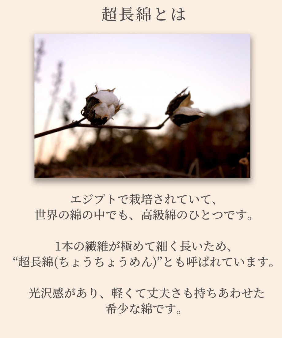 64815bac8e735f002fb7697c