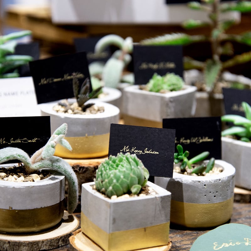 多肉植物の席札 | SATO RISA GRAPHIC DESIGN