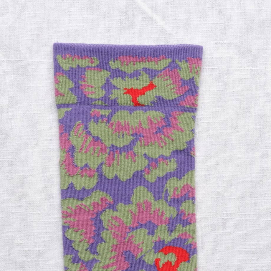 67d7edc20961240001b74483