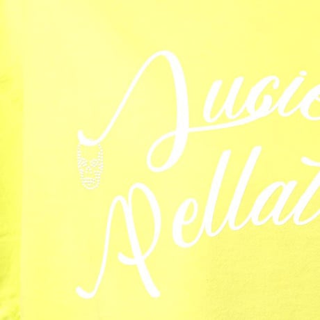 ルシアンペラフィネ Lucien Pellat Finet ロゴ1994Tシャツ コットン ライム