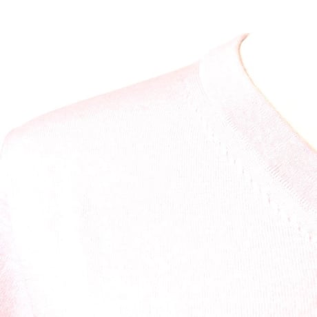 エクストリームカシミヤ extreme cashmere x cleanVネック半袖カットソー コットンカシミヤ マニキュア