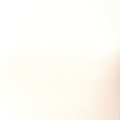 エクストリームカシミヤ extreme cashmere x タイトフィット半袖カットソー コットンカシミア ホワイト