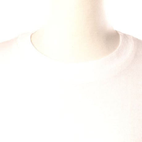 エクストリームカシミヤ extreme cashmere x ビックシルエットTシャツ コットンカシミア ホワイト 正規取扱