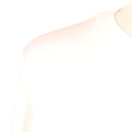 エクストリームカシミヤ extreme cashmere x ビックシルエットTシャツ コットンカシミア ホワイト 正規取扱