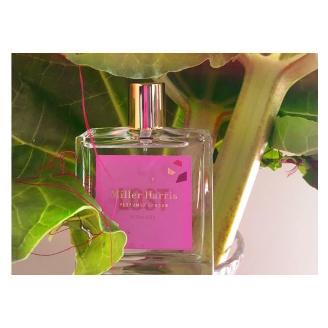 廃盤 未開封 ミラーハリス LOST in the city 50ml Amazon | 【ミラーハリス】ロスト（イン ザ シティ）EDP SP 50ml