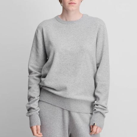 エクストリームカシミヤ extreme cashmere x n36 beclassis 長袖セーター カシミアなど ライトグレー 正規取扱