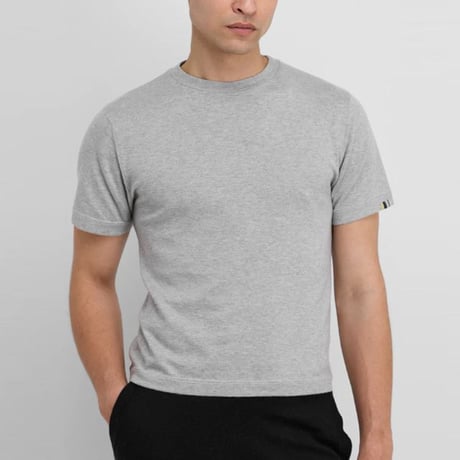 エクストリームカシミヤ extreme cashmere x n°268 cuba カットソー コットンカシミヤ グレー 正規取扱