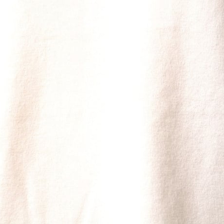 エクストリームカシミヤ extreme cashmere x cleanVネック半袖カットソー コットンカシミヤ スノー 正規取扱