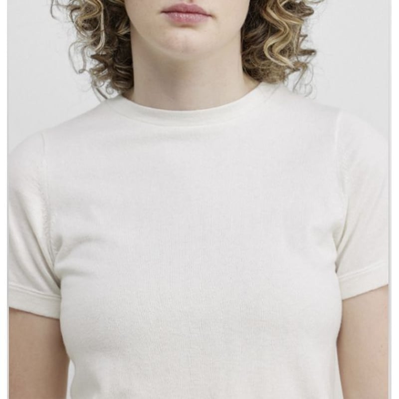 extreme cashmere コットンカシミア半袖Tシャツ エクストリームカシミヤ extreme cashmere x tina半袖Tシャツ