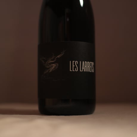 Les Larrets Hautes-Côtes de Nuits 2023
