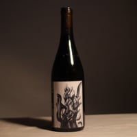 Vin de France Grenache 2023