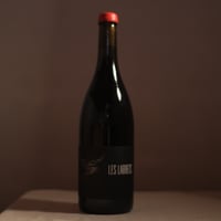 Les Larrets Hautes-Côtes de Nuits 2023