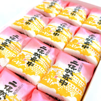 二俣城最中 12個入