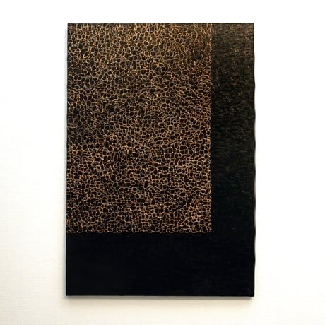 discipline 207（大判作品）