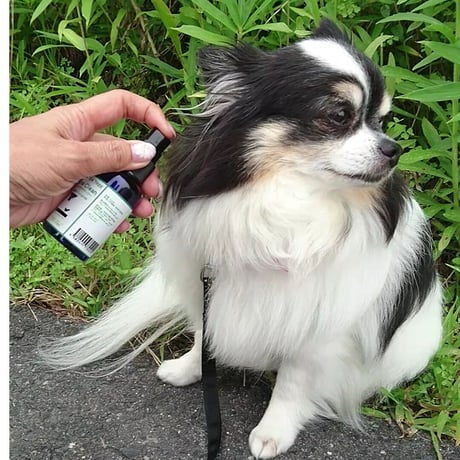 ＊容器が変更になりました★高い虫除け効果　ニームアロマクリーン50ml《森林浴の香り》  （3本以上のご注文）