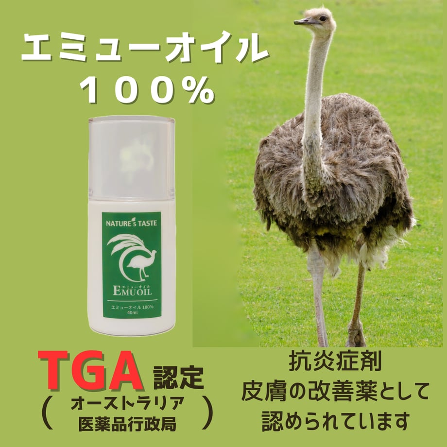 67875700a6782d029612e413