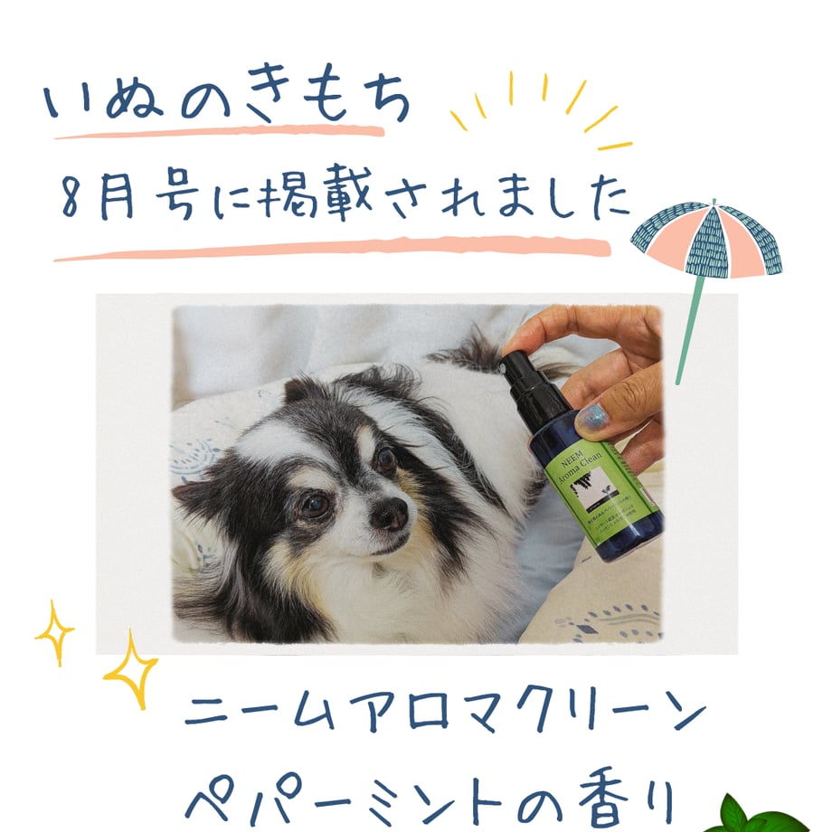 635624d5abc35c5904937bd0