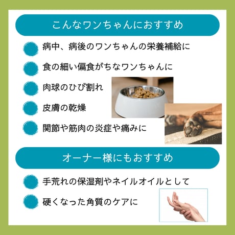 高齢のワンちゃんの床ずれにも「オーストラリア保健省薬品TGA認可」100％PUREエミューオイル