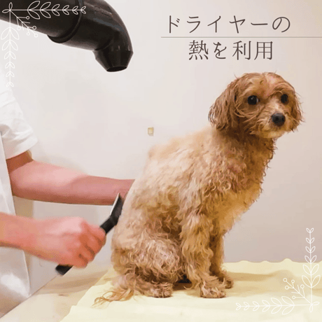 ★トライアルミニボトル40ml★　アーユルニームシャンプー