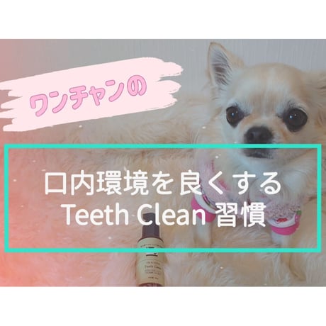 Teeth Clean (3本以上）