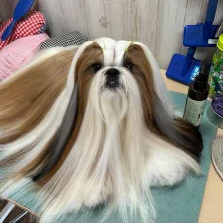 アーユルニームトリートメント　ふんわりなめらかタイプ  1L