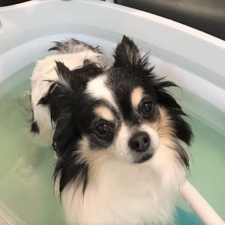 皮膚のべたつき臭い対策　EM NEEM BATH 入浴剤 500ml 計量キャップ付き容器付き