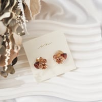 sugar  #268-511