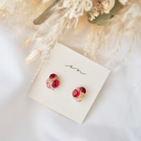 mini sugar  #2682-157