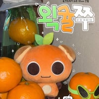 6月末発送予定【 &TEAM ウィジュ 】ドール ※締切日1/20 @atatakai_juju