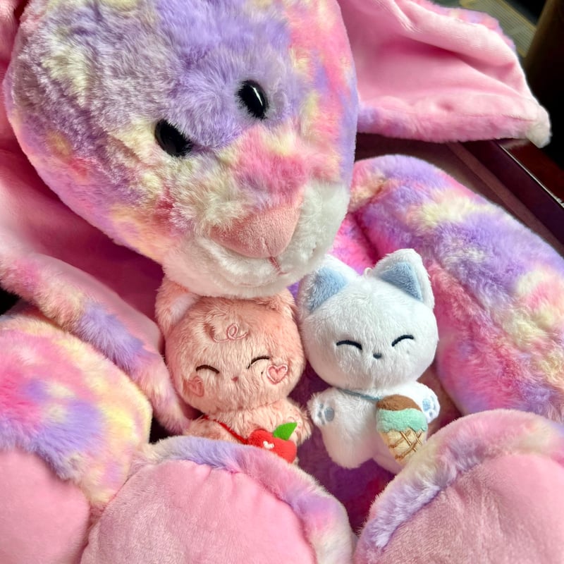 enhypen ソヌ ドール