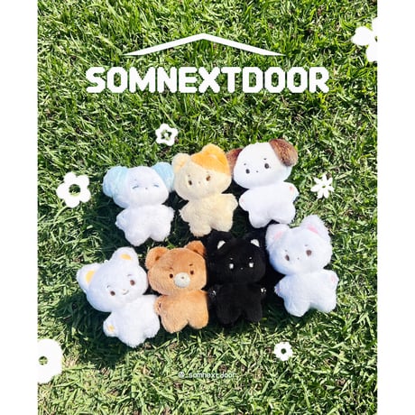 CATEGORY 在庫販売 | 【JPGO】Dreamforyou