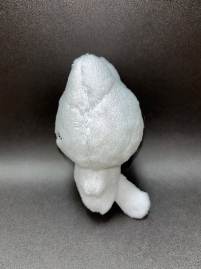 ENHYPEN ソヌ ドール 10cm 7月末発送予定【 ENHYPEN ソヌ 】ドール ※締切日4/17 @catdduni