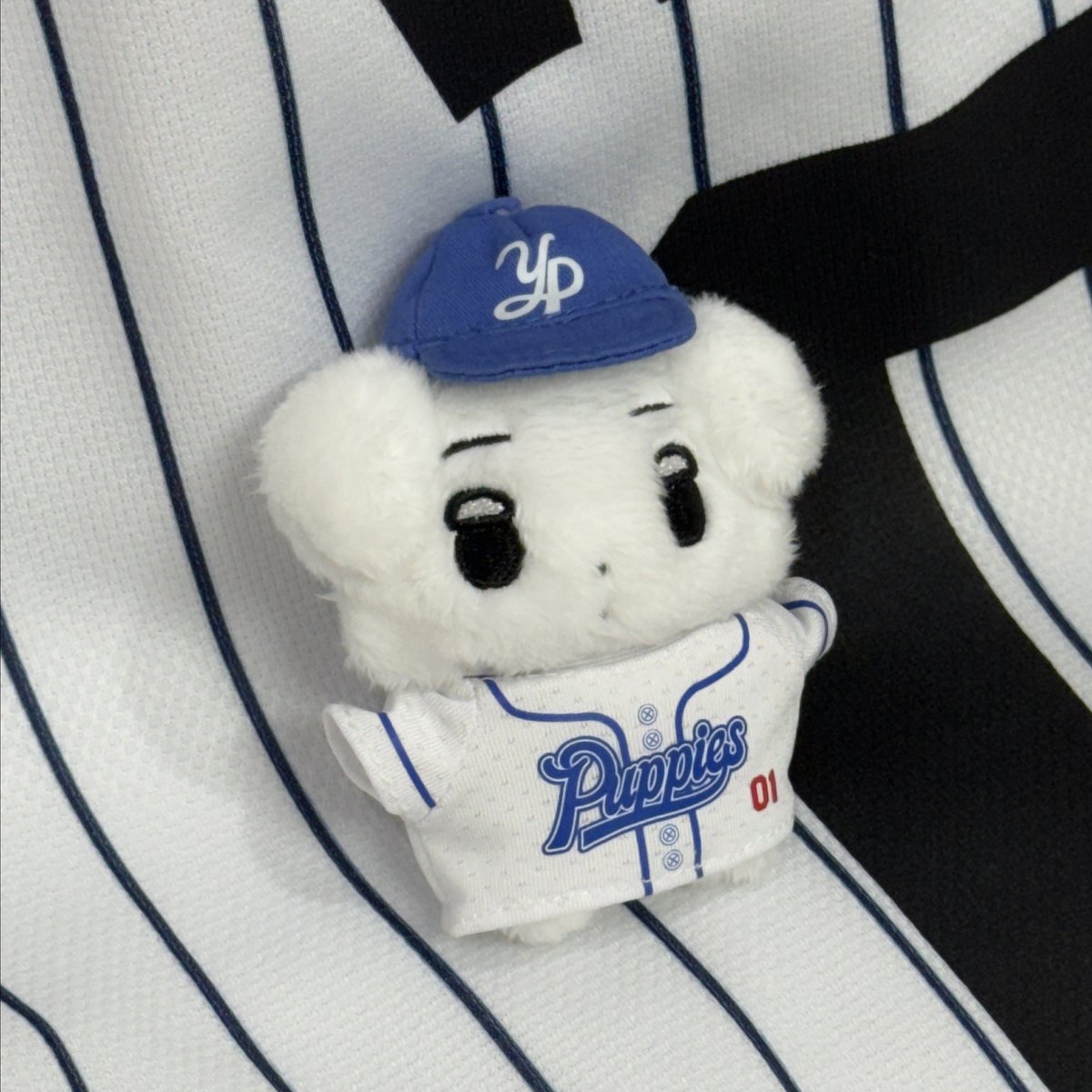 10月発送予定【 aespa ウィンター 】ドール ※締切日5/17 @galgyo