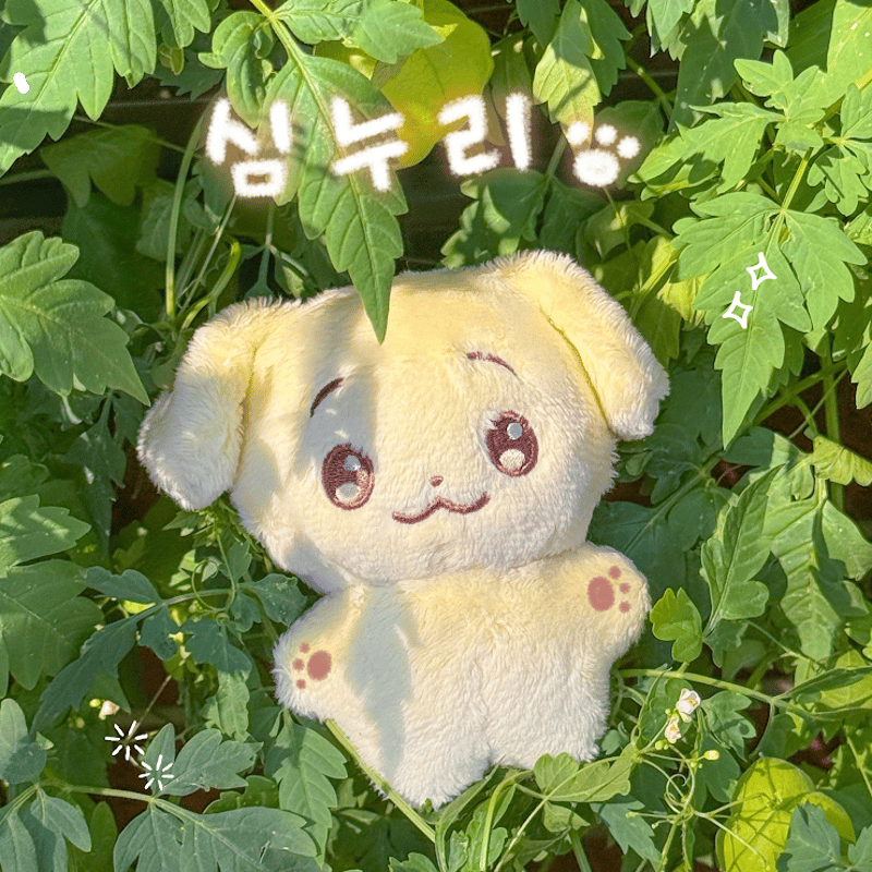 ENHYPEN ジェイク 】グッズ ※締切日10/19 @CHABI_JAKE | 【JP